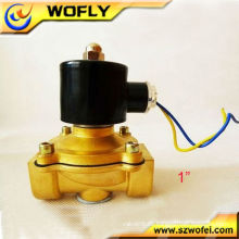 1inch 12v / 24v / 220v / 230v Spule Solenoid Wasserventil normal schließen / offen G / NPT 0 ~ 10bar